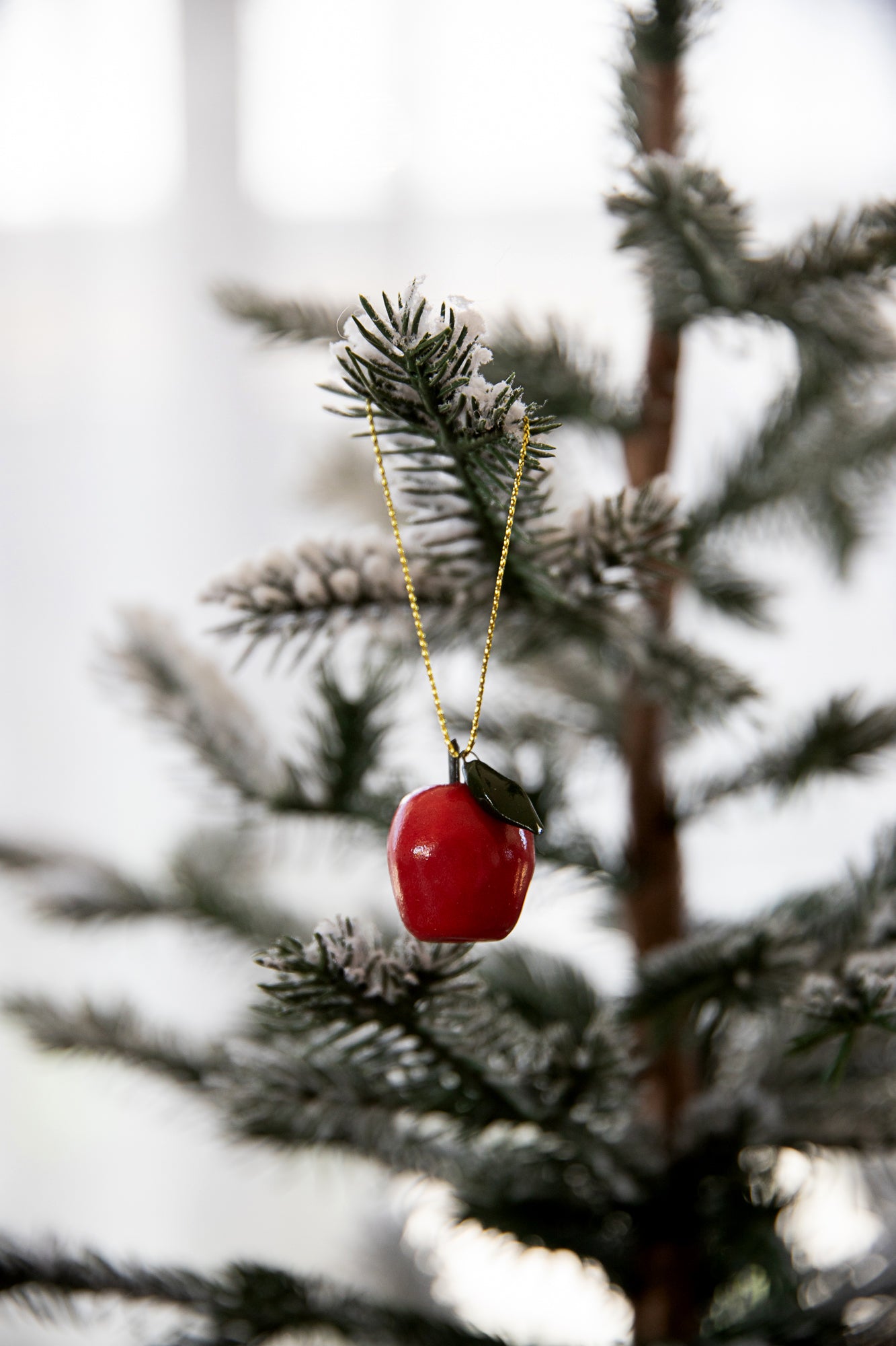 APPLE CHRISTMAS DECORATION