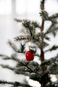 APPLE CHRISTMAS DECORATION